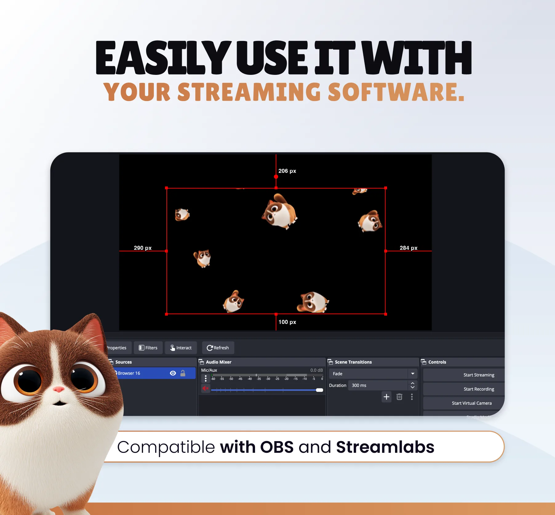 Cats Command