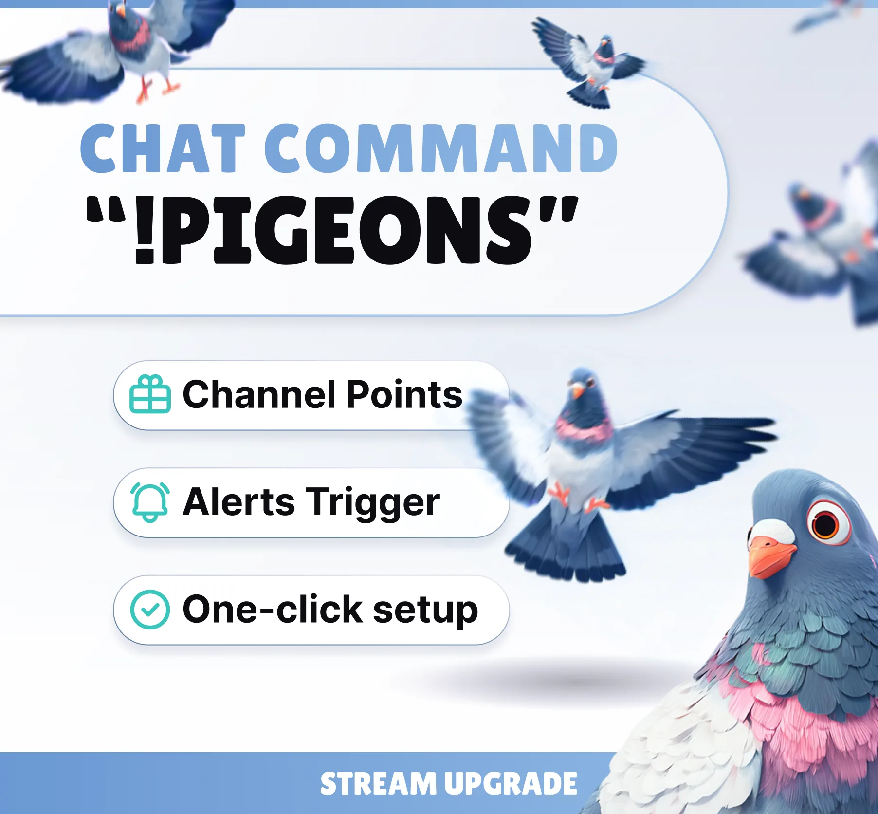 Pigeons Command
