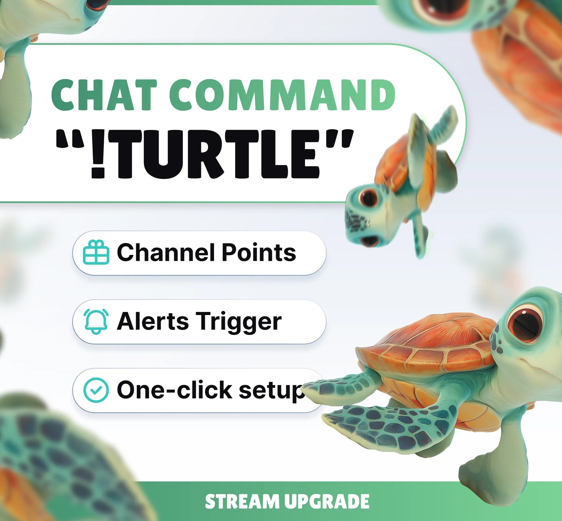 Turtle Command