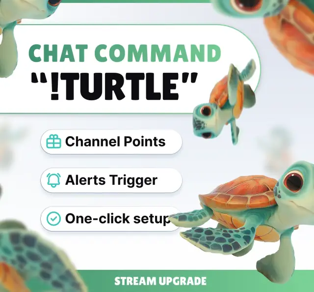 Turtle Command