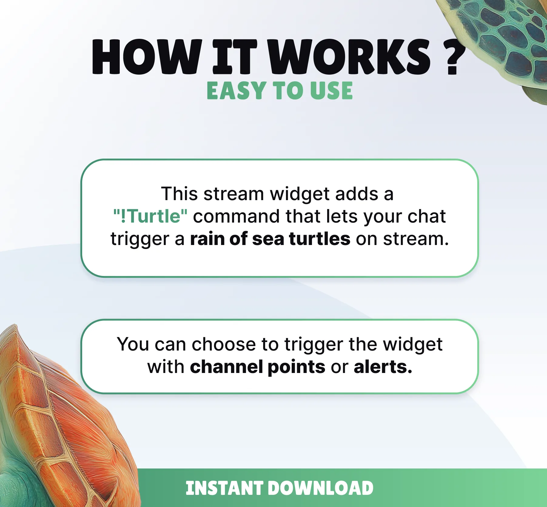 Turtle Command