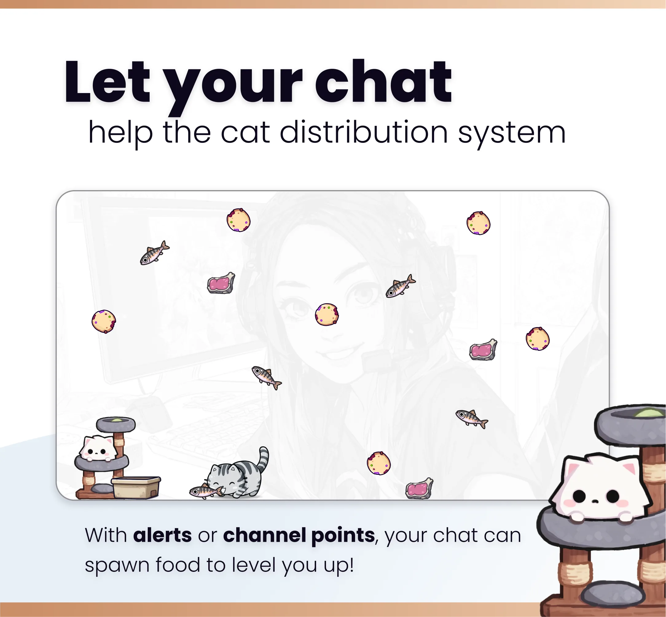 Widget Cats Paradise