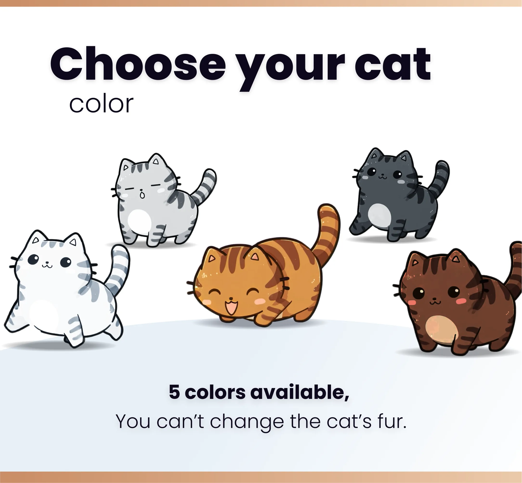 Widget Cats Paradise
