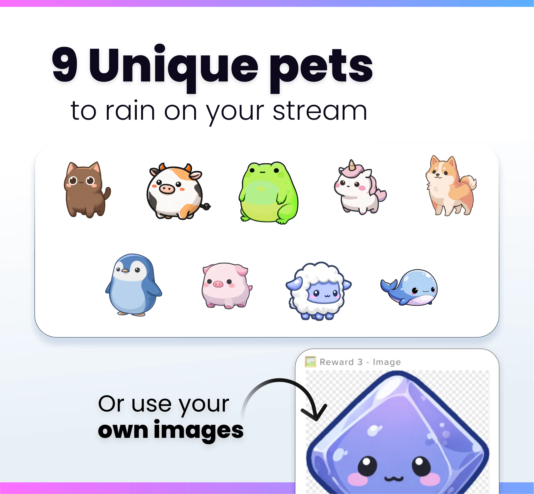 Widget Pet Rain
