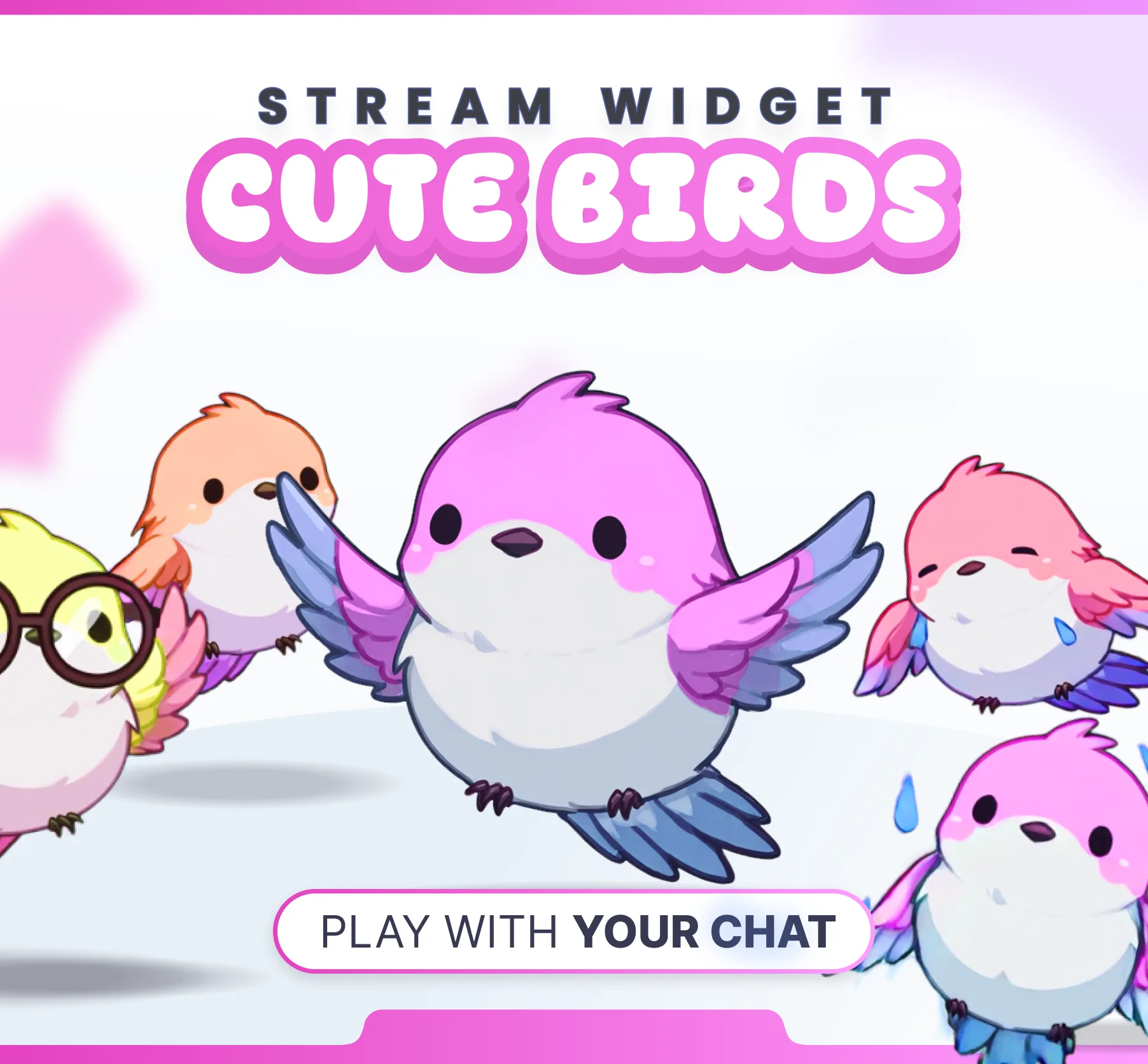 Birds Community Widget