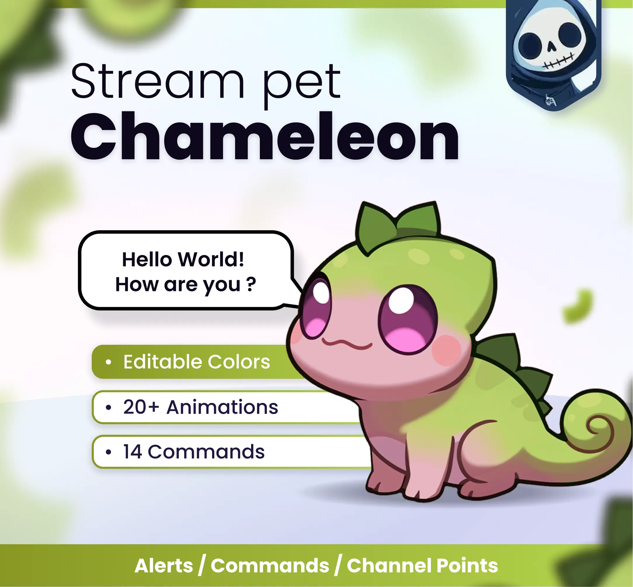 Chameleon