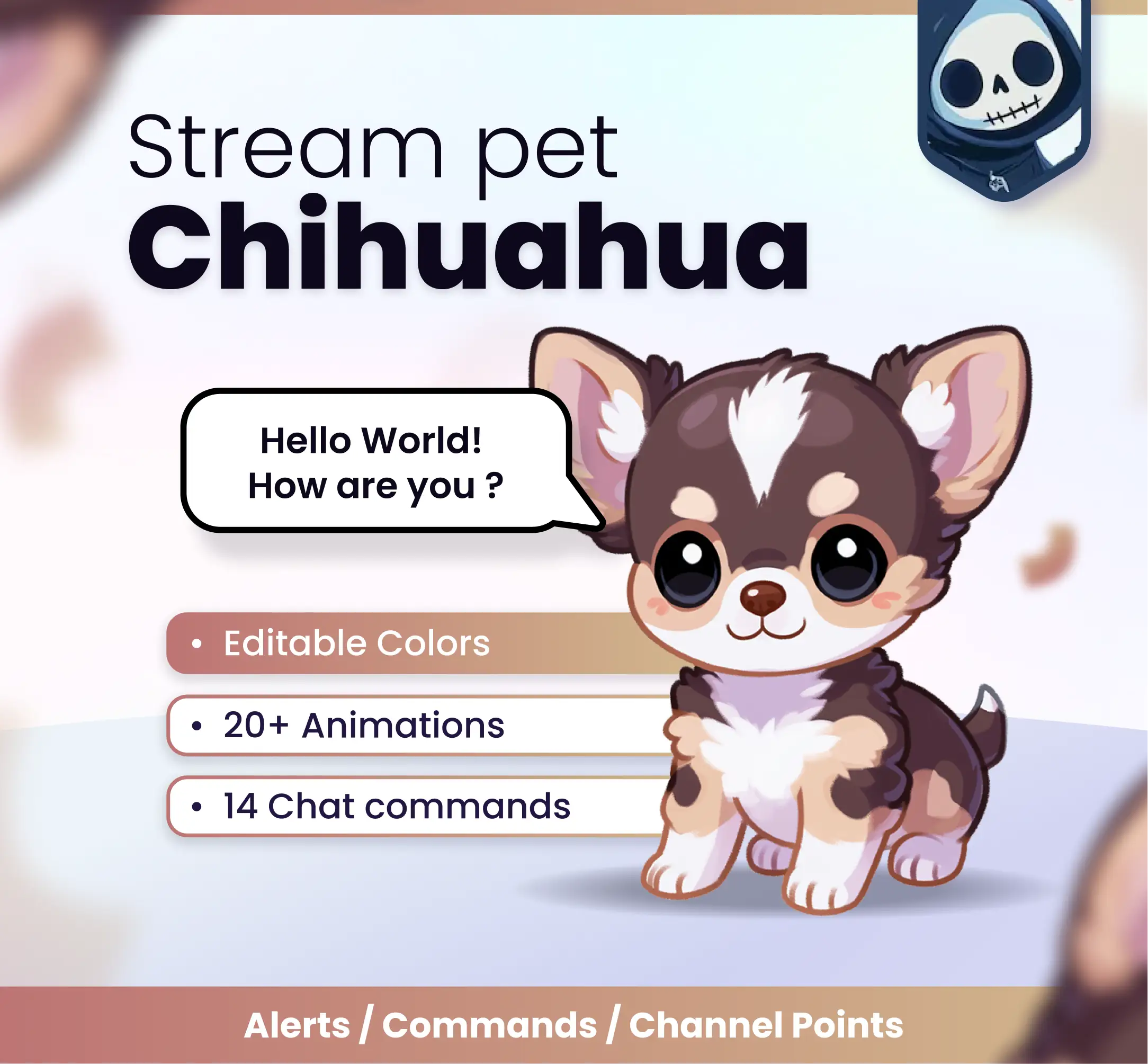 Chihuahua