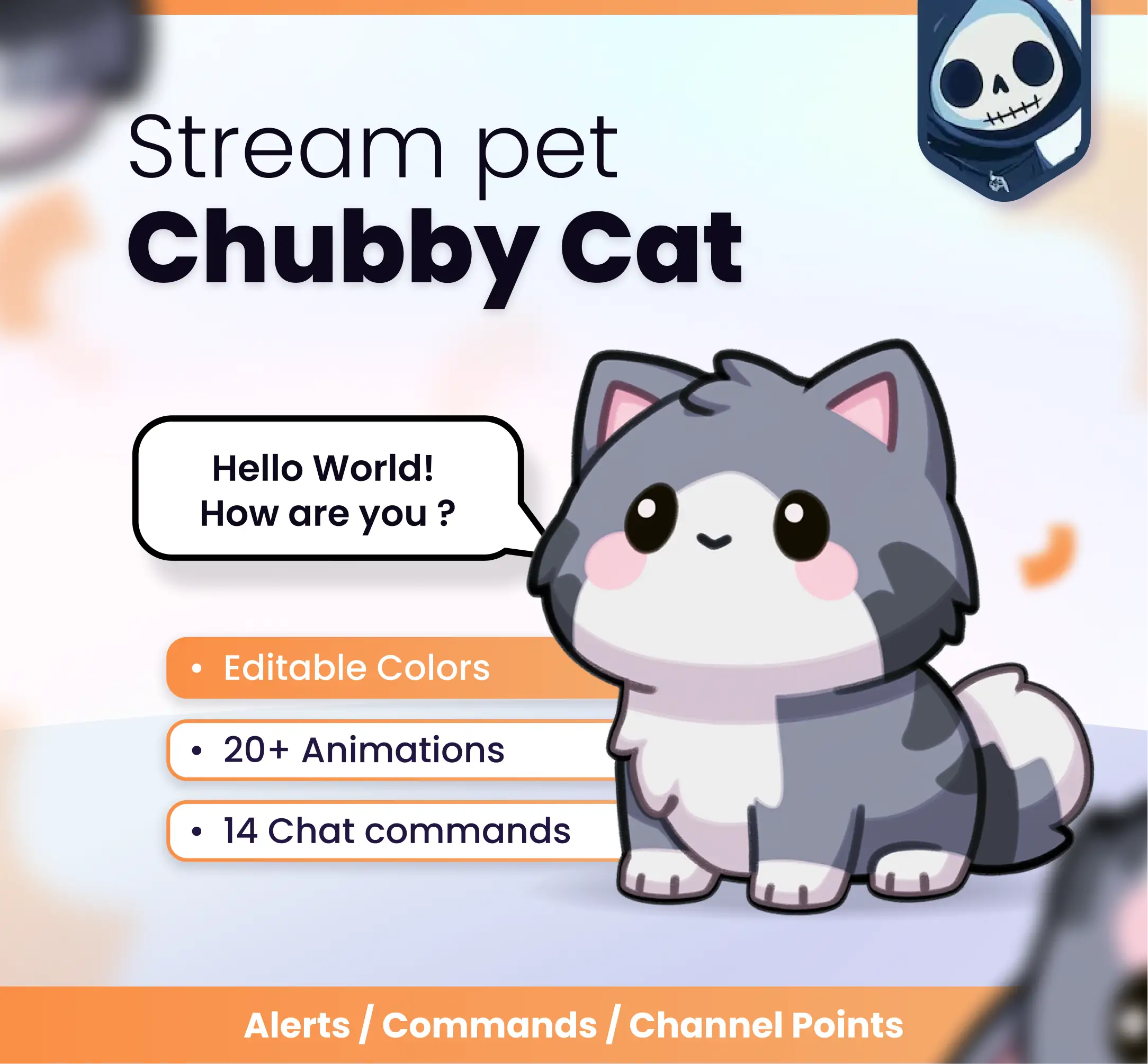 Chubby cat