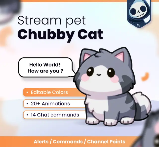 Chubby cat