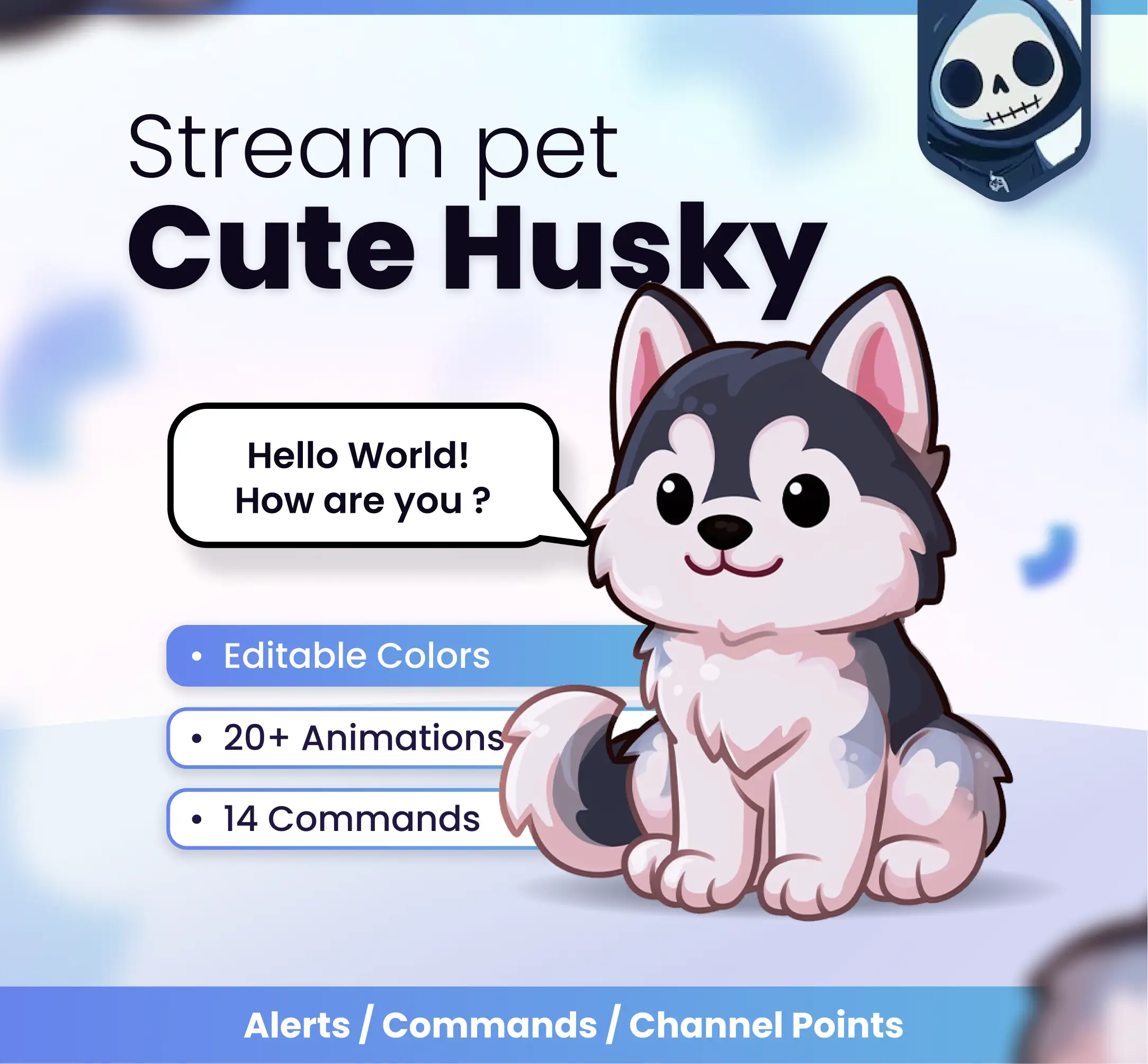 Cute husky