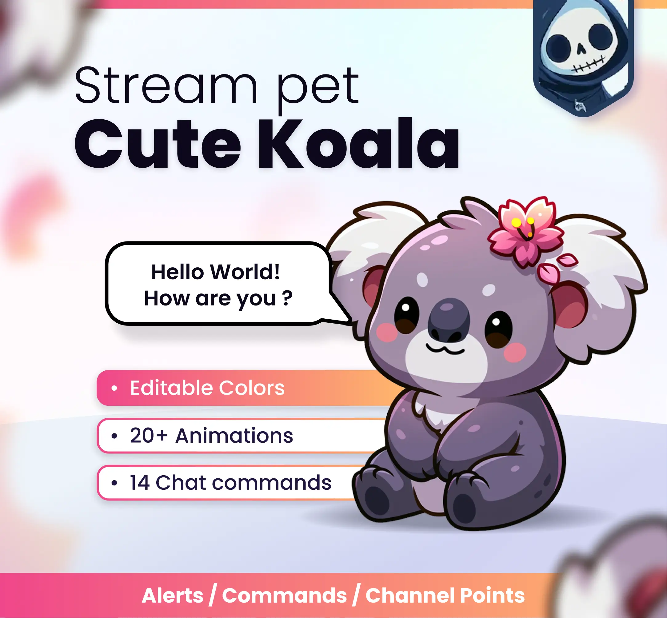 Cute koala