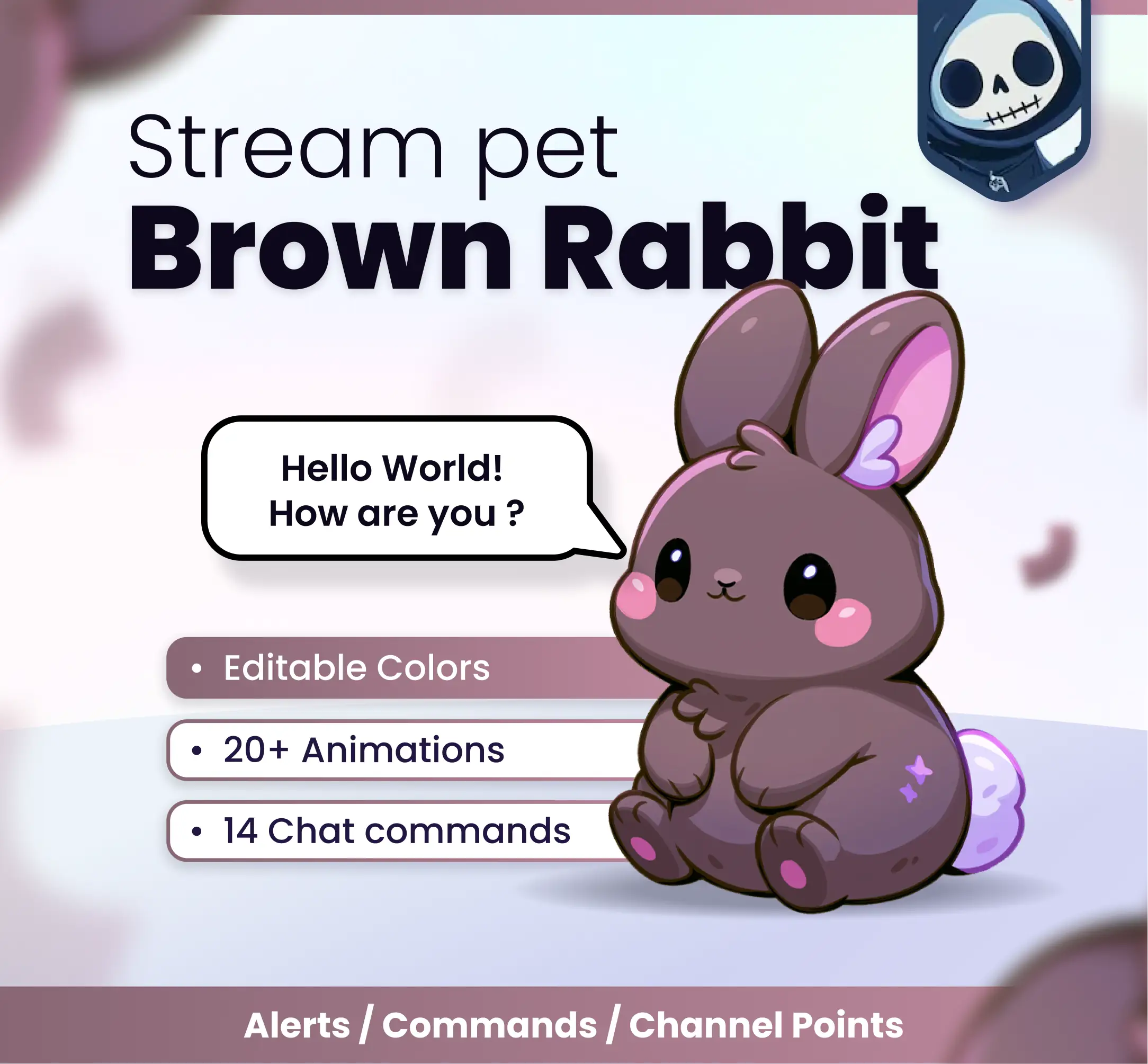 Cute rabbit