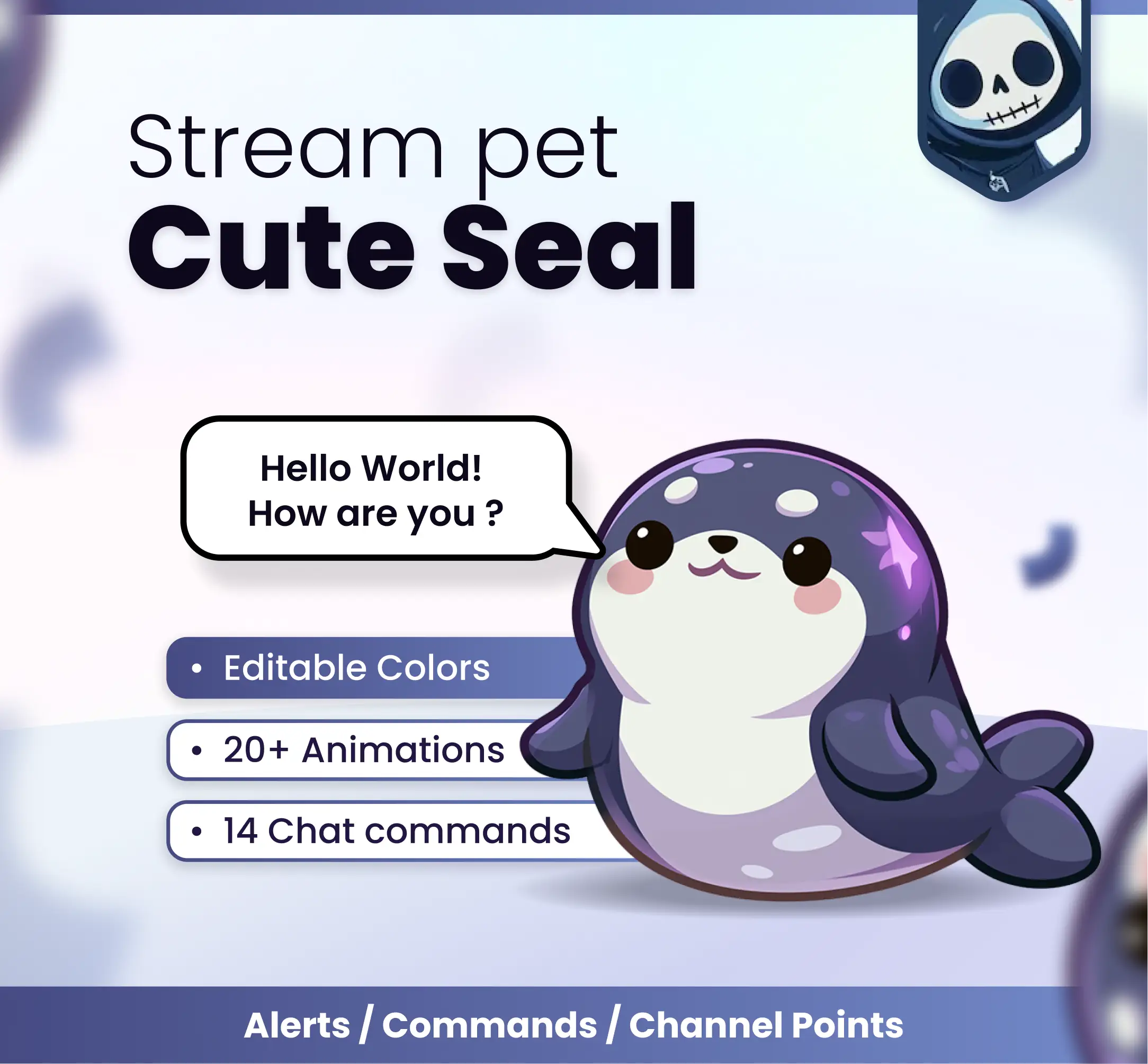 Cute seal