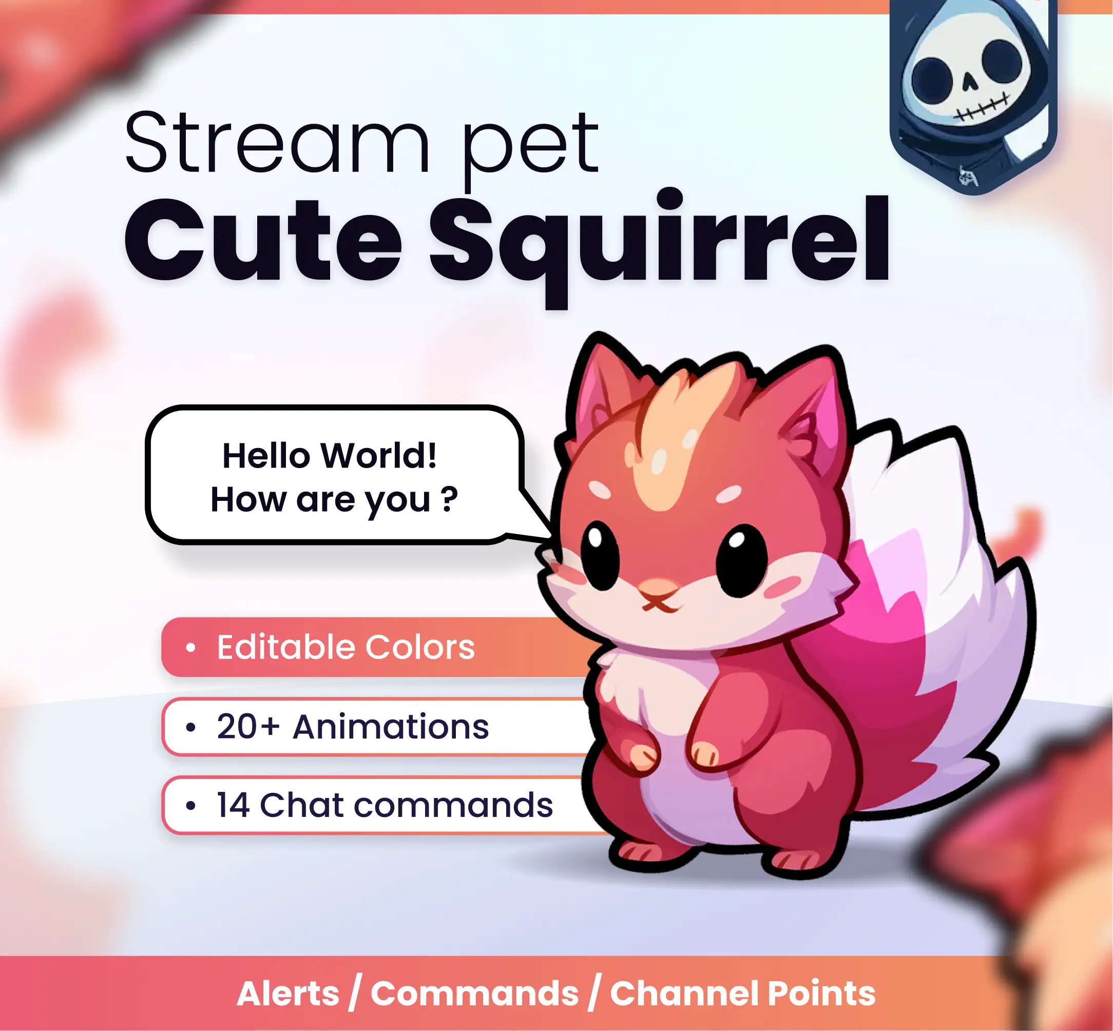 Cute squirrel