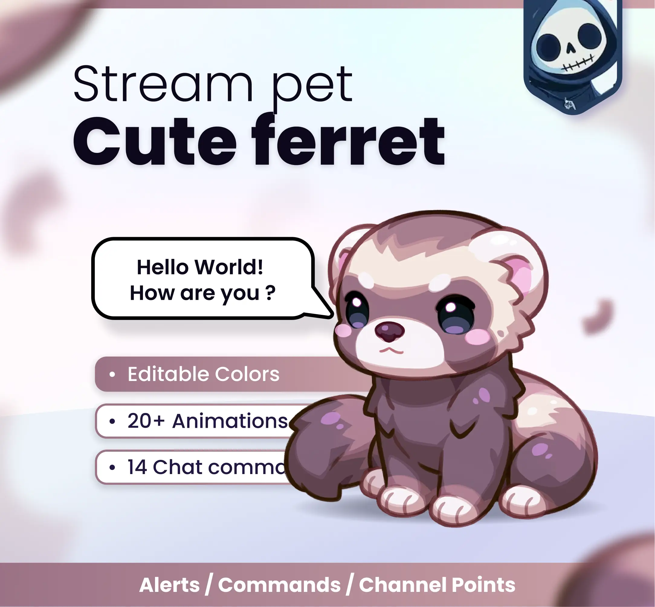 Ferret