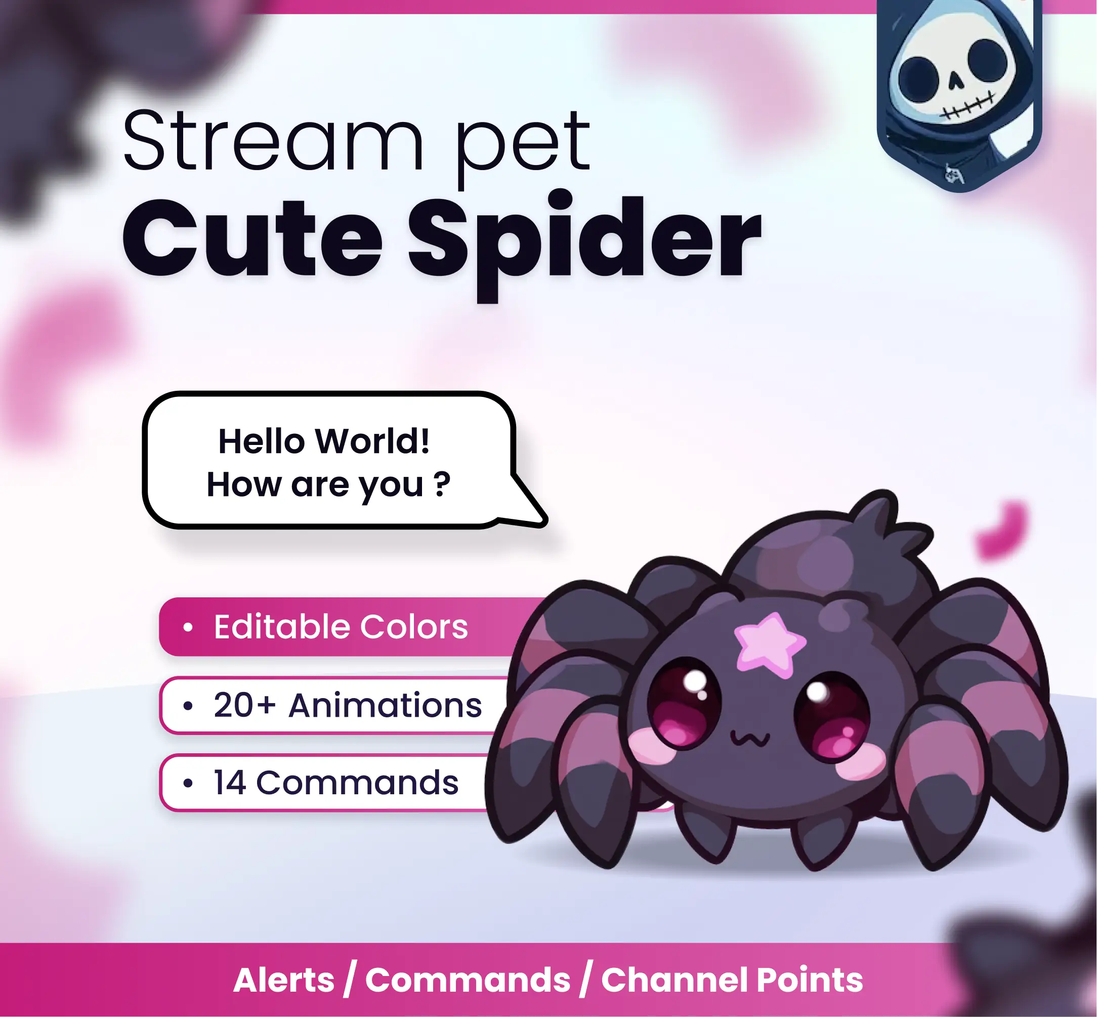 Spider